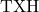 \TXH